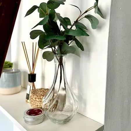 Apartamento Le Romi - Capitole Hypercentre - Cosy *