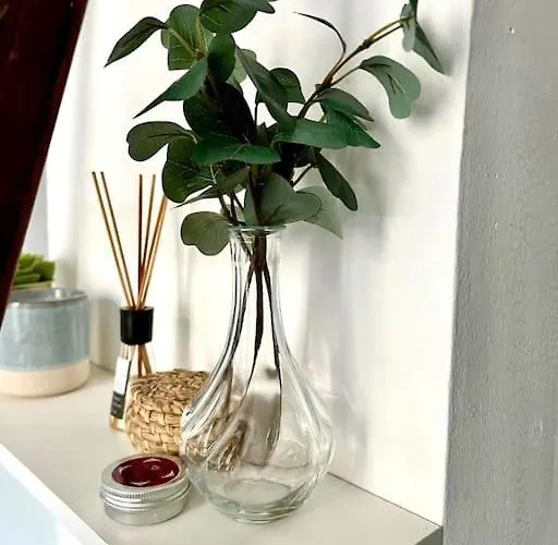 Appartement Le Romi - Capitole Hypercentre - Cosy *